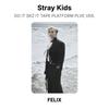Stray Kids DO IT SKZ IT TAPE PLATFORM PLVE VER. Official Photocard