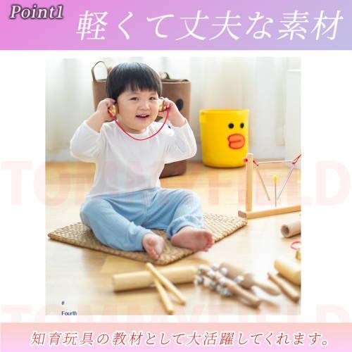 TOMMYFIELD Triangle Tambourine Percussion Wood Block for Performance and Maracas Music Practice (Musical Instrument)