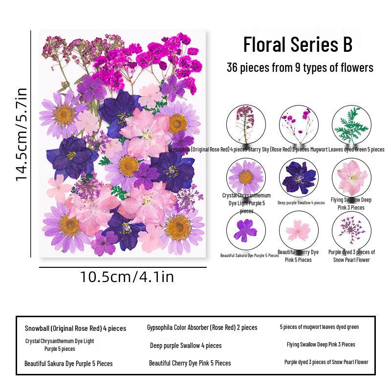 DIY Dried Flower Specimen Sticker Set for Kids: Handmade Pressed Flower Frames & Resin Bookmark Craft Kit