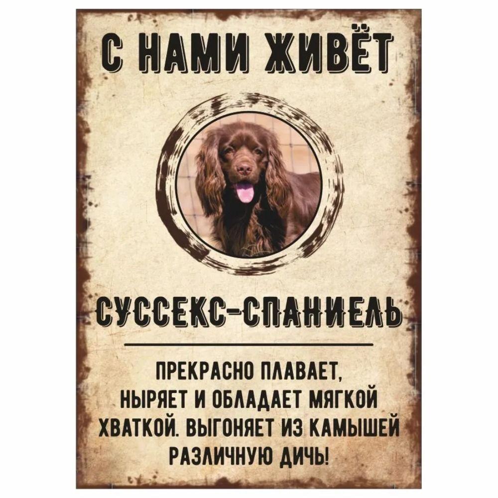 Schild, dekorativ, GEFAHR HUND, Schnauzer lebt bei uns, 20x30cm