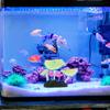 Aquarium Fake Coral Fish Tank Artificial Plant Decor Natural Style Aquatic Plant Adornment Aquarium Decor Fish Tank Decorations