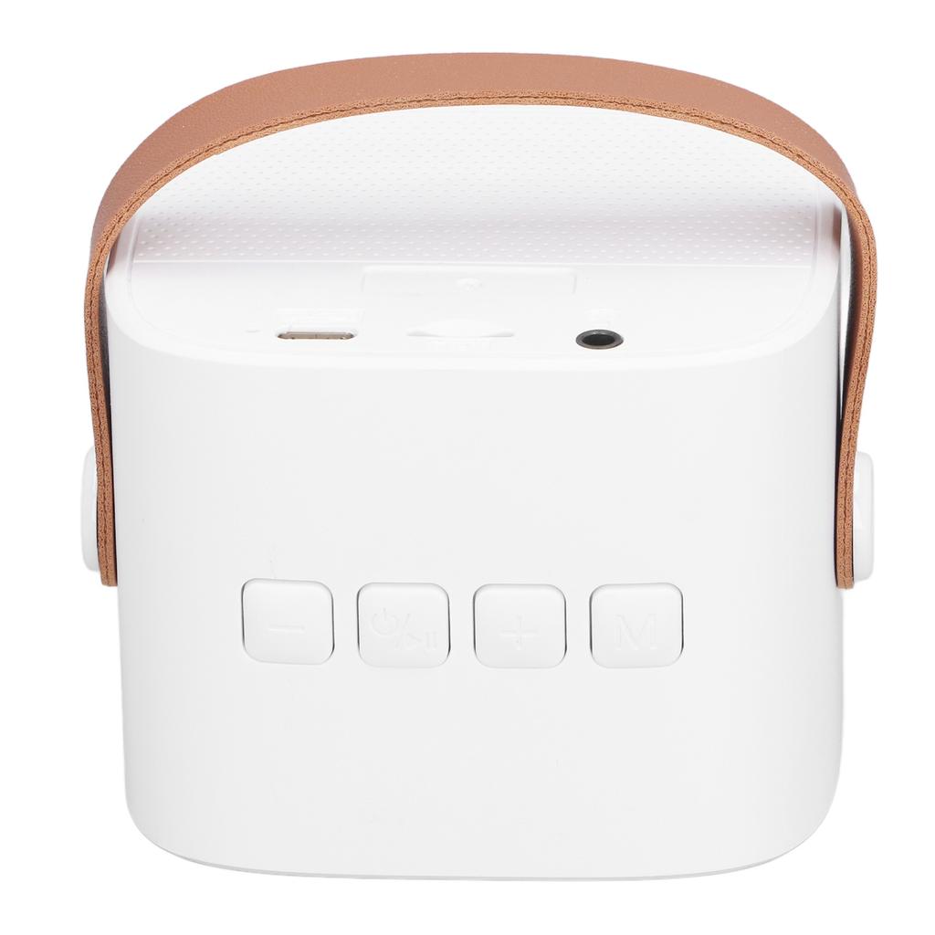 Kids Karaoke Machine Portable Versatile Long Endurance Dual Microphone Bluetooth Speaker for Party