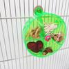 5 Compartments Birds Foraging Wheels Acrylic Parrot Puzzle Feeder Birds Grid Food Box  Cockatiel