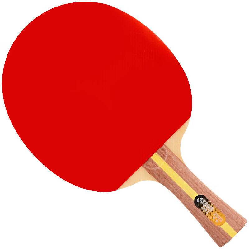 DHS H2002 2-Star Table Tennis Racket