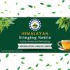 Himalayan Nettle Leaf I 30 Teabags I Helps with Joint Health, Kidney Detox I Antioxidant Rich, Contains 100% Nettle Leaf Tea