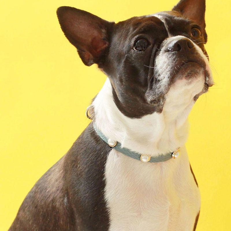 MAISON DE MIU Soft Pearl Collar_Indian Blue