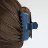 Daily Rounded Hair Crow Clip HB2275 5 Colors