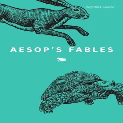 Aesops Fables by Aesop Paperback Book 9781435171527