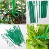 30/50/100/200Pcs Reusable Garden Cable Ties Plant Support Shrubs Fastener Tree Locking Nylon Adjustable Plastic Cable Ties Tools