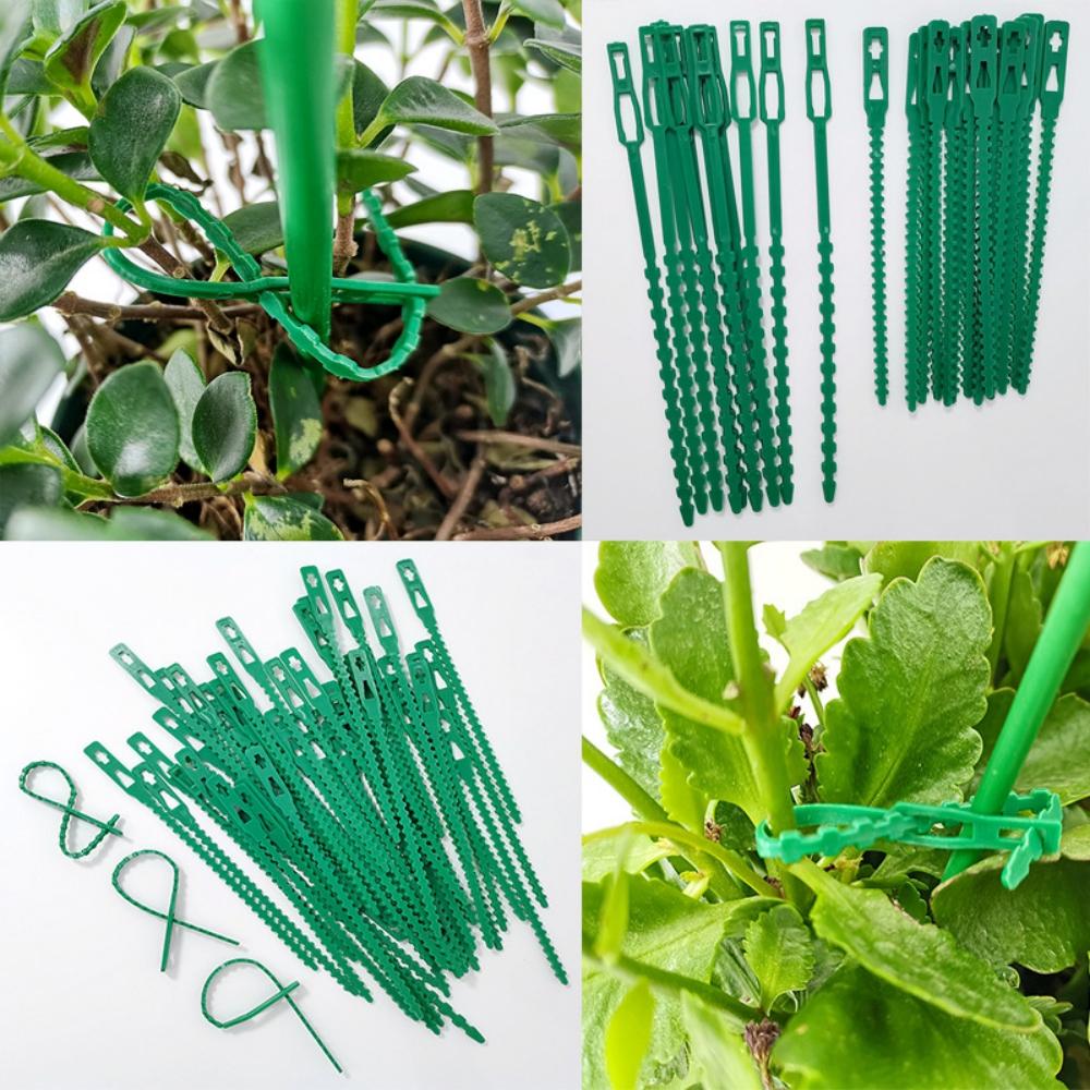 30/50/100/200Pcs Reusable Garden Cable Ties Plant Support Shrubs Fastener Tree Locking Nylon Adjustable Plastic Cable Ties Tools