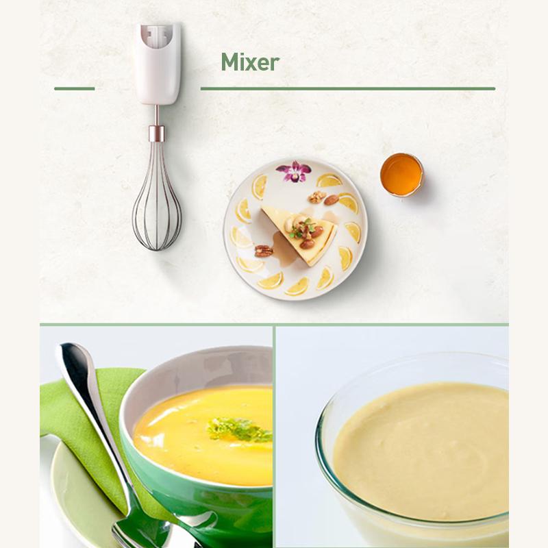 Philips blender HR2545/00 Multi-functional Hand Blender (Whisk & Chopper Attachment)