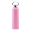 Stainless Steel Water Bottle with Handle Lid, Double Wall Vacuum Insulated Bottle for Sports Hiking Gym