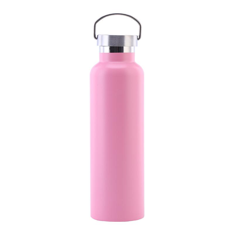 Stainless Steel Water Bottle with Handle Lid, Double Wall Vacuum Insulated Bottle for Sports Hiking Gym