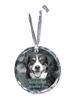 Entlebucher Mountain Dog - Crystal Bauble with a Photo, Dog Photo In Crystal, Personalized Christmas Tree Ornament by Art-Dog Brand