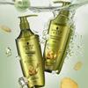 Schwarzkopf Ginger Essence Oil Control Shampoo 400ml