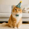 Pet Costume Cute Pet Christmas Hats Soft Comfortable Cat Knitted Hat Handmade Pet Cosplay Hat Pet Photography