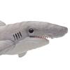 BH6151 HANSA Tiger Shark 35