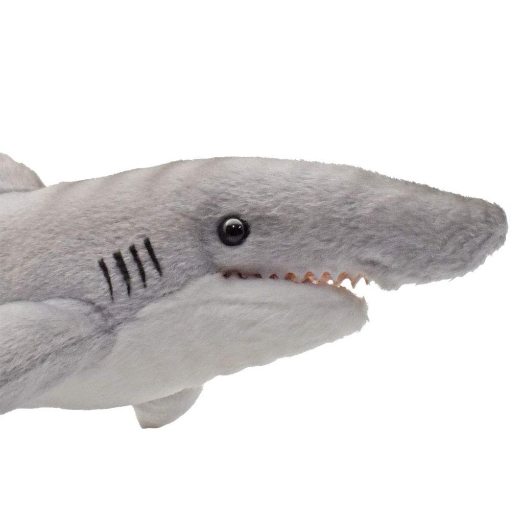 BH6151 HANSA Tiger Shark 35