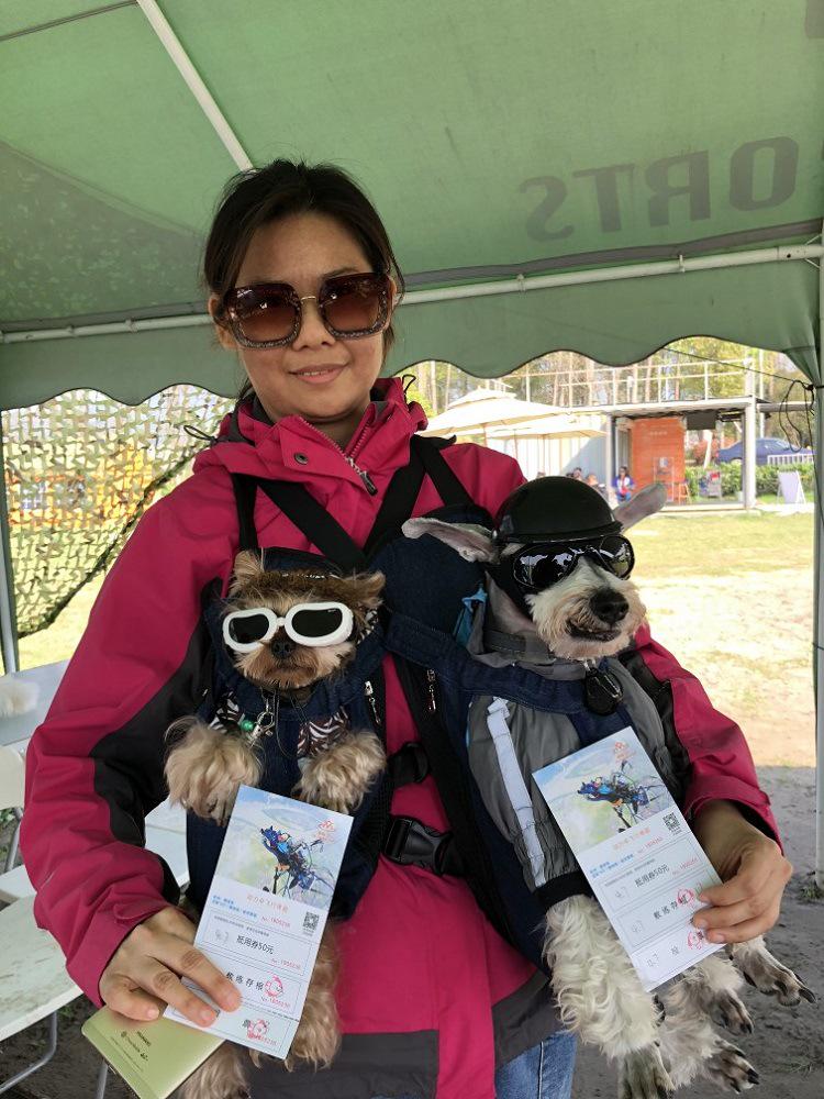 Portable Pet Carrier Bag: Front & Back Dog Backpack, Cat & Small Dog Transport Bag