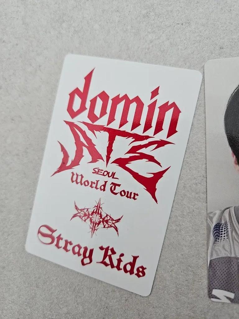 STRAY KIDS dominate Seoul Aladdin Bonus Poka 8-piece Set Used