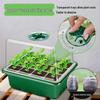 12-Hole Succulent Seedling Tray Set with Lid – Moisture & Temperature Control