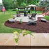 For Indoor Plants Collectible Frog Decorative Figurines Garden Decor Collectible Figure Cohesive Look Display Versatility