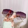 Sunglasses Design Sense Diamond-Encrusted Temple Street Shot Large Frame Sunglasses