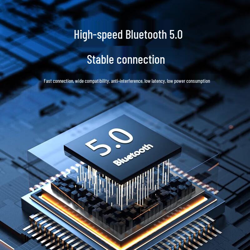 Newmine BT31 Portable Bluetooth Speaker