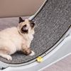 Quiet Exercise Wheel & Large Climbing Tree for Cats and Dogs