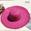 Natural Lafite Straw Hat Sunscreen Large Brim Beach Hat Trendy Foreign Style Color Fur Edge Dome UV Protection Sun Visor