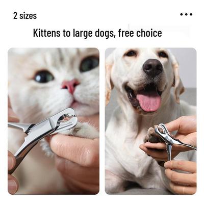 Cani – Prodotti per la cura dei cani