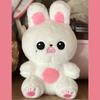 10CM Peluche Bambola Portachiavi Cartone Animato Carino Coniglio Giocattolo Riempimento PP Cotone Ciondolo Borsa Accessori Portachiavi Ventilatori Regalo