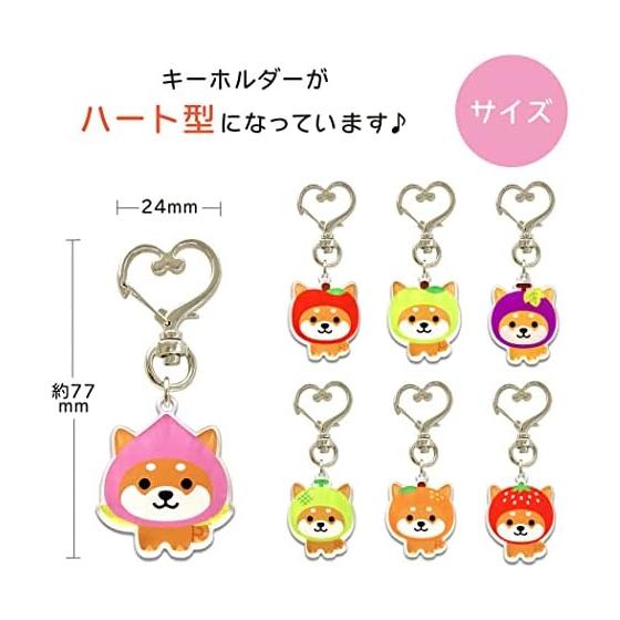 [LamPlanning] Traveling Mameshiba Acrylic Key Holder Charm Shiba Inu Mame Shiba Cute Character Mascot Made In Japan