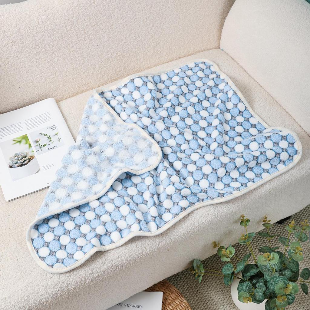 Pet Mats & Blankets: Thick Coral Fleece for Dogs & Cats