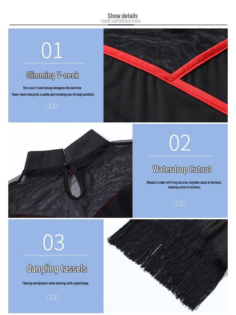 Autumn New Latin Dance Mesh Tassel Cheongsam Dress for Women - Practice & Performance