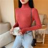 Casual Solid Basic Knitted Blouse Women Elegant Turtleneck Long Sleeve Tunic Auturm Bottoming Pullover Tops  new