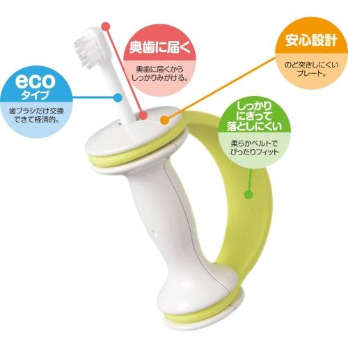[Made in Japan] Combi Teteo Baby toothbrush STEP 2 set (approximately 10 months to 36 months) Safe design that prevents it from getting stuck in the t