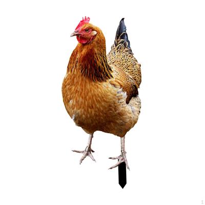 Elegantní kovová socha slepice pro venkovní dekoraci