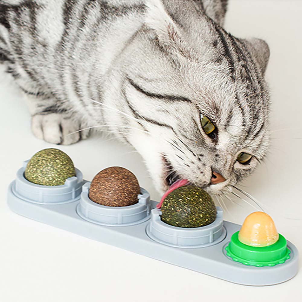 Natural Lick Cat nip Cat Supplies Chew Ball Teeth Cleaning Cat Toys Catnip Balls Molar Cat Snacks