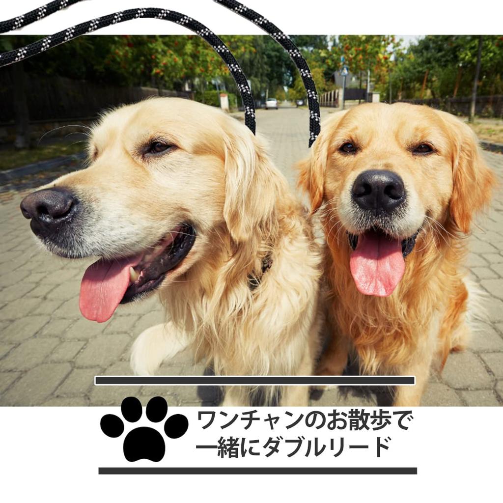 Startside Double Walking Double Lead for Harness Large Medium Small Nylon Lead, Lead, Harness, Walking, Collar, Dog, Dog, Dog, (Red)