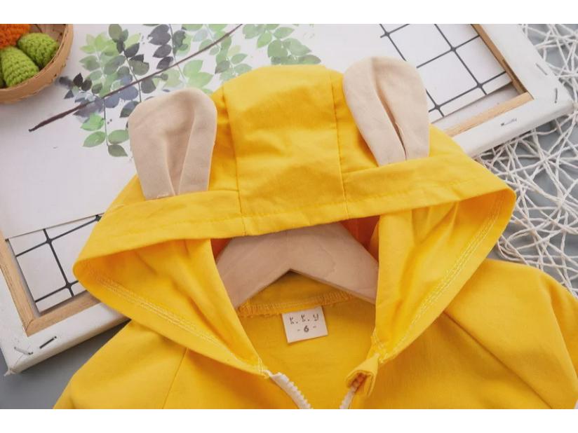 Kids' 2023 Korean Style Hooded Sweatshirts: Spring/Autumn Long-Sleeve Cartoon Three-Piece Set