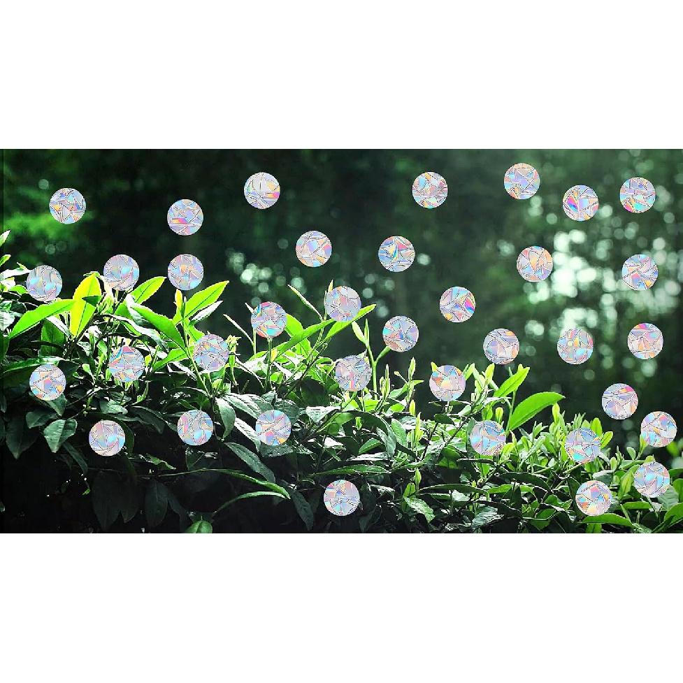 81 Pieces Circle Window Decals for Bird Strikes - Anti-Collision Clings To Save Birds,Non Adhesive Vinyl Rainbow Suncatch Stickers, Easy Remove No