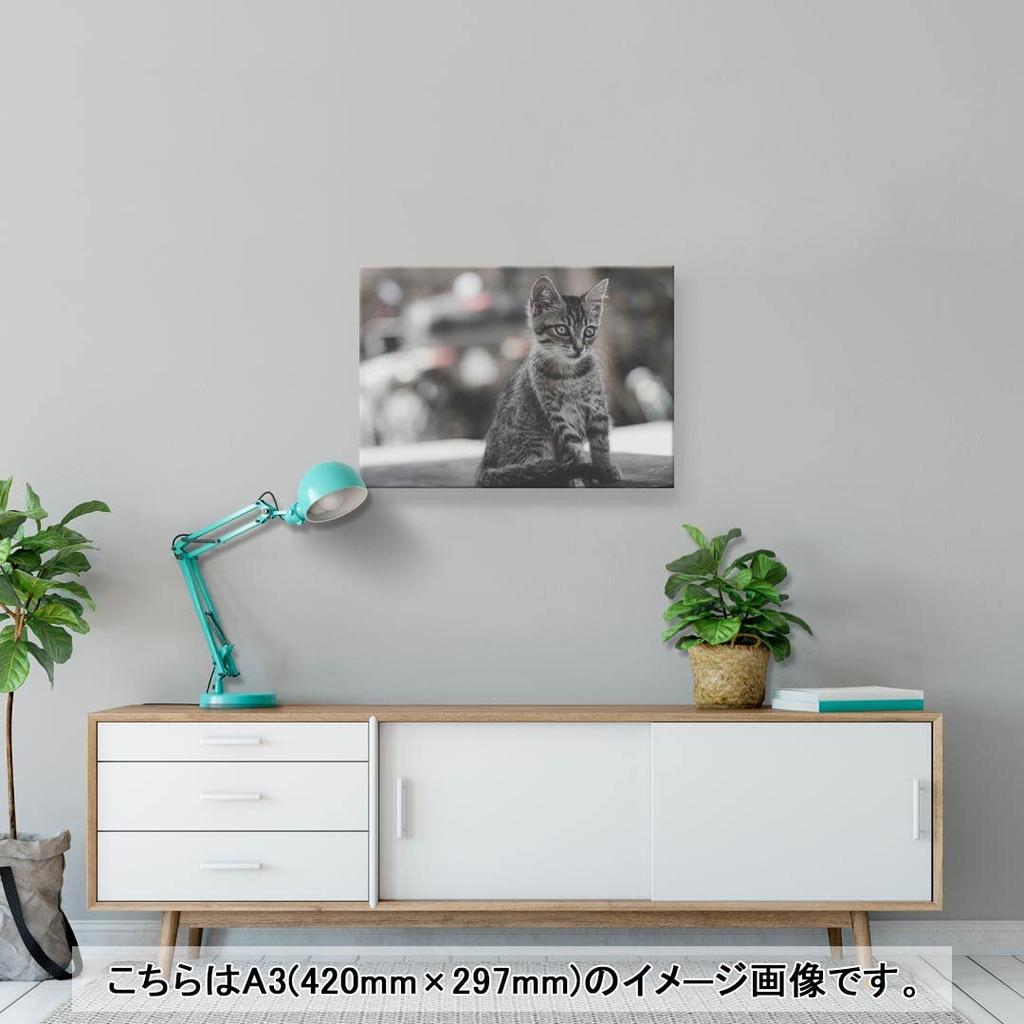 Art 420mm x Wall Wooden Stylish Interior Animal Photo Panel, Picture, Painting, Decoration, igsticker, 297mm, A3, Photo, Hanging, Frame, Decor,
