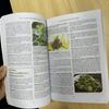 The Lost Book Of Herbal Ii Protocols For Common Ailments Book English Paperback Colored Inner Pages