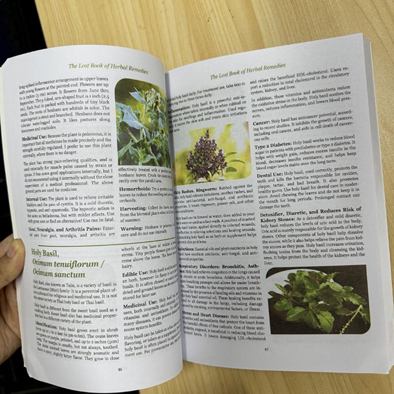 The Lost Book Of Herbal Ii Protocols For Common Ailments Book English Paperback Colored Inner Pages
