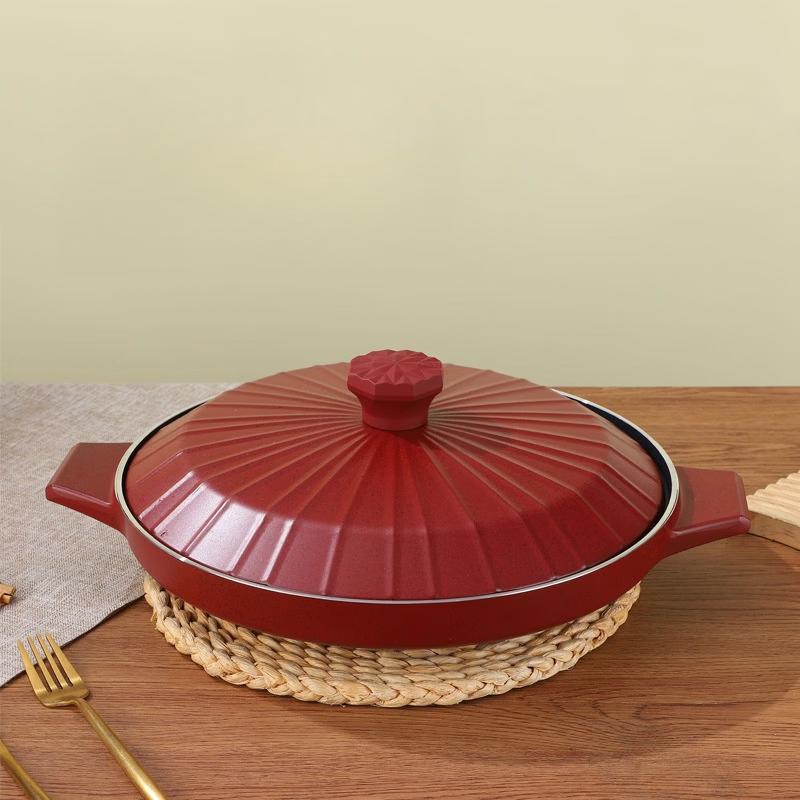 

ZISIZ Aluminum Alloy Casserole Pot