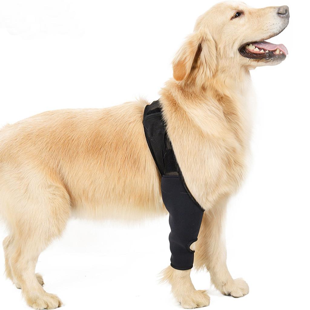 Pet Joint Brace Dog Fracture Disability Knee Brace Dog Leg Auxiliary Belt Small And Medium Dog Post-Operative Protective Cover