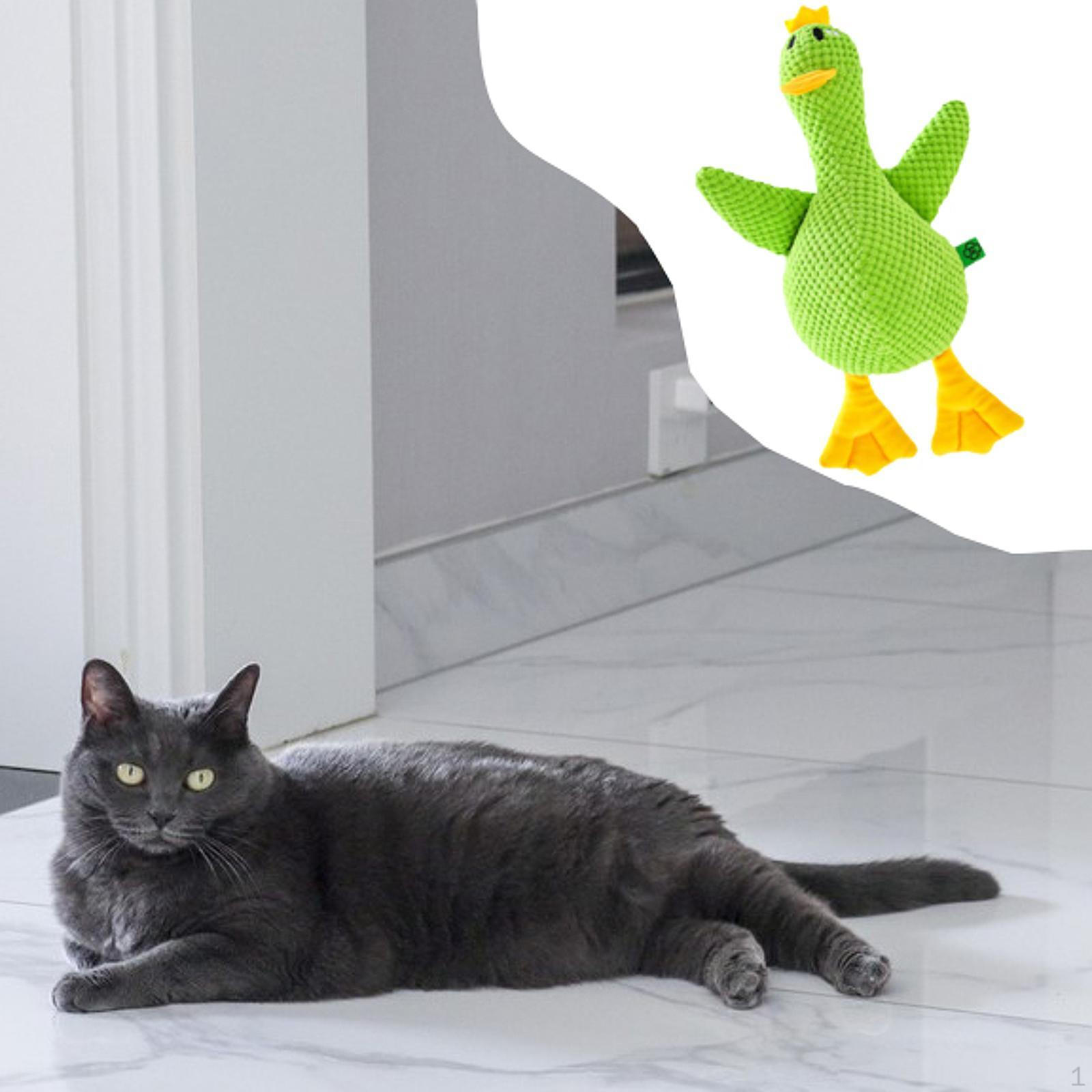 

Dog Chewing Toy Squeaky Exercise Multifunctional Pet Supplies for Small Breed Dogs L