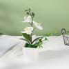 Dekorativní ozdoby Květiny Phalaenopsis Květináče Umělé květiny