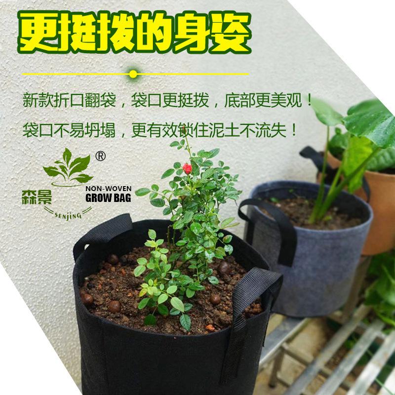 Senjing Colorful Root Control Non-Woven Planting Bag for Trees and Flowers